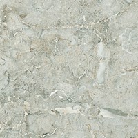Gạch Catalan 60x60 6942