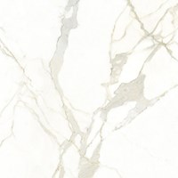 Gạch Catalan 80x80 8010
