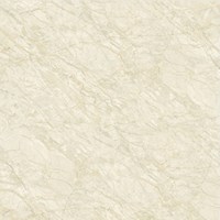 Gạch Catalan 80x80 8012