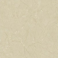 Gạch Catalan 80x80 8035