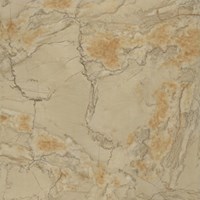 Gạch Catalan 80x80 8798