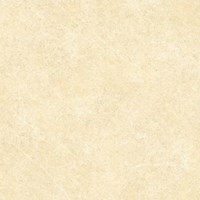 Gạch Đồng Tâm 6060BINHTHUAN002
