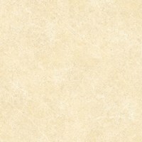 Gạch Đồng Tâm 6060BINHTHUAN003
