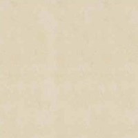 Gạch Đồng Tâm 6060DB014-NANO
