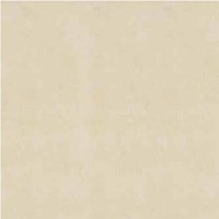 Gạch Đồng Tâm 6060DB014-NANO