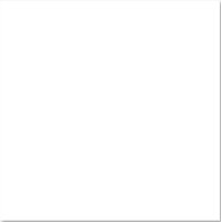 Gạch Đồng Tâm 6060SNOW001-FP