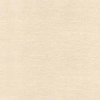 Gạch Đồng Tâm 60x60 6060WS001