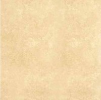 Gạch Đồng Tâm 60x60 6060WS004