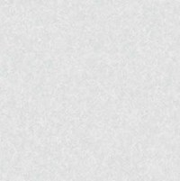 Gạch Đồng Tâm 60x60 6060WS013
