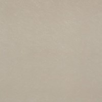 Gạch Đồng Tâm 8080DB101-NANO