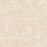 Gạch Đồng Tâm 80x80 8080FANSIPAN003-FP-H+