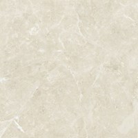 Gạch Đồng Tâm DTD6060TRUONGSON005-FP
