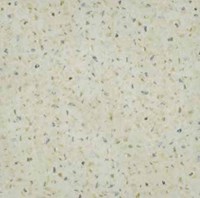 Gạch Đồng Tâm DTD6060XACU002-FP