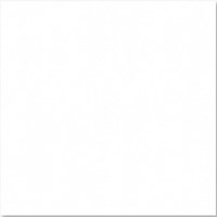 Gạch Đồng Tâm DTS6060BRIGHT001-FP
