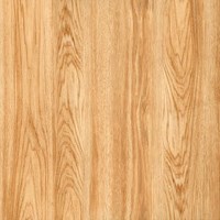 Gạch Prime 60x60 12003