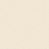 Gạch Prime 60x60 12008