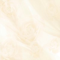 Gạch Prime 60x60 12019