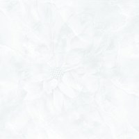 Gạch Prime 60x60 12024