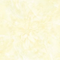 Gạch Prime 60x60 12025