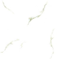 Gạch Prime 60x60 12028