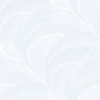 Gạch Prime 60x60 12031