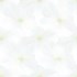 Gạch lát nền Prime 60x60 12032