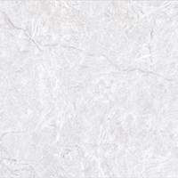 Gạch Prime 60x60 12036
