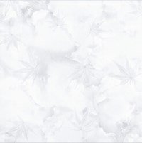 Gạch Prime 60x60 12039