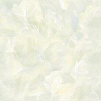 Gạch Prime 60x60 15609