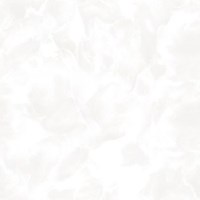 Gạch Prime 60x60 15612