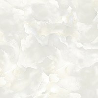 Gạch Prime 60x60 15618
