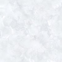 Gạch Prime 60x60 15623