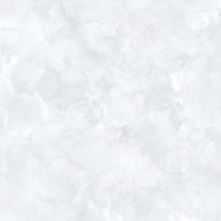 Gạch Prime 60x60 15623