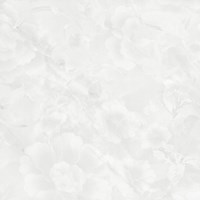 Gạch Prime 60x60 15633