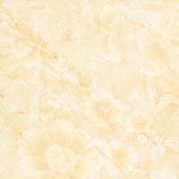 Gạch Prime 60x60 15634