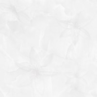 Gạch Prime 60x60 15638
