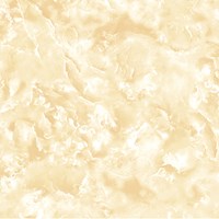 Gạch Prime 60x60 1604