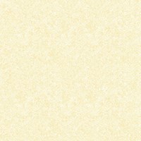 Gạch Prime 60x60 1606