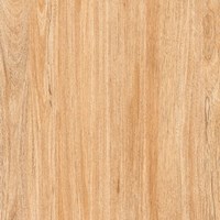 Gạch Prime 60x60 8206