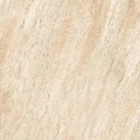 Gạch Prime 60x60 8263