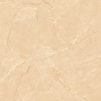 Gạch Prime 60x60 8267
