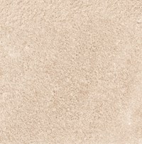 Gạch Prime 60x60 8287