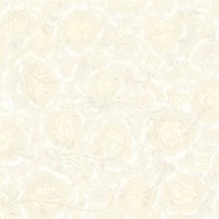 Gạch Prime 60x60 9001