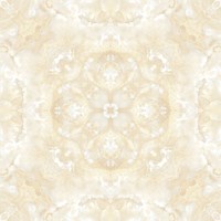 Gạch Prime 60x60 9003