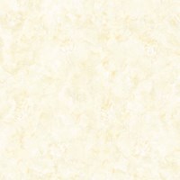 Gạch Prime 60x60 9014