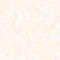 Gạch Prime 60x60 9016