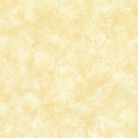 Gạch Prime 60x60 9028