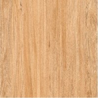 Gạch Prime 60x60 9035