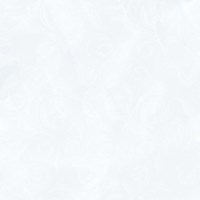 Gạch Prime 60x60 9047
