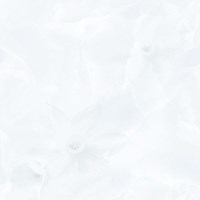 Gạch Prime 60x60 9048